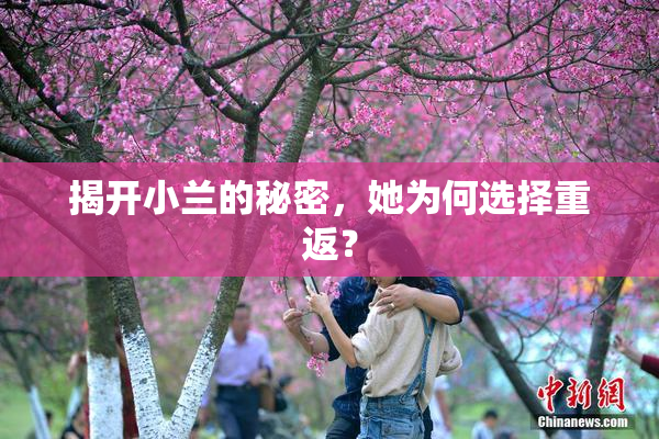 揭开小兰的秘密，她为何选择重返？