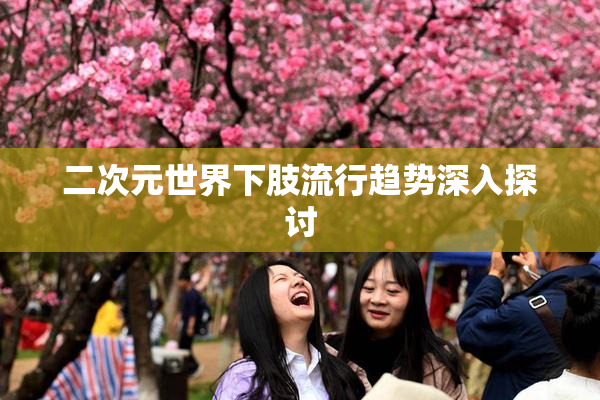 二次元世界下肢流行趋势深入探讨