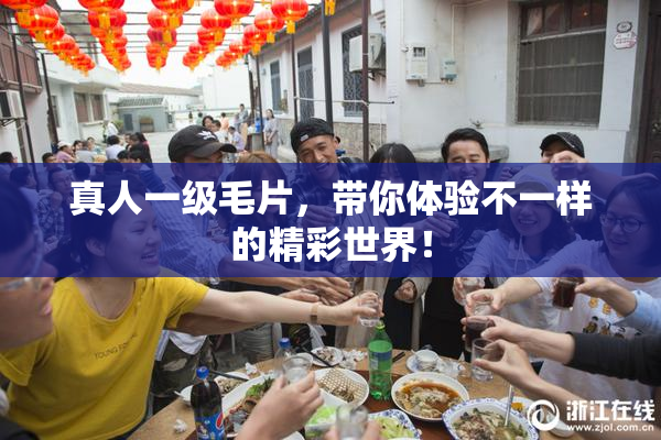 真人一级毛片，带你体验不一样的精彩世界！