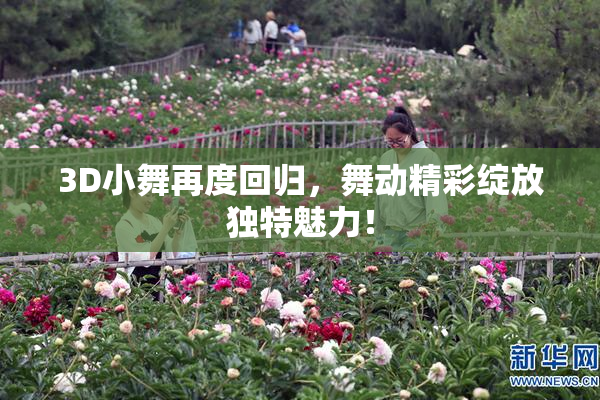 3D小舞再度回归，舞动精彩绽放独特魅力！