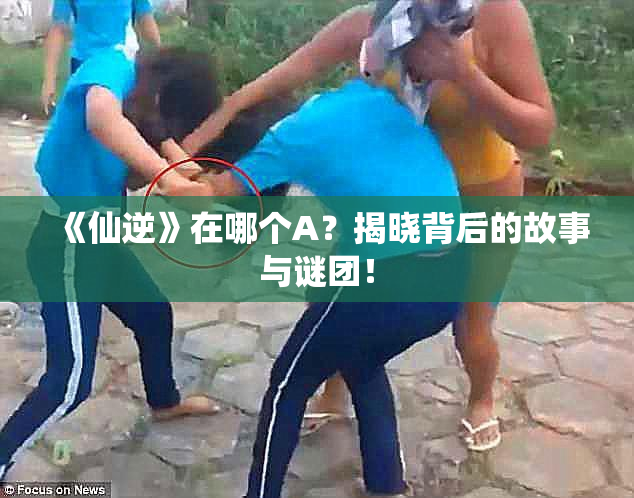 《仙逆》在哪个A？揭晓背后的故事与谜团！