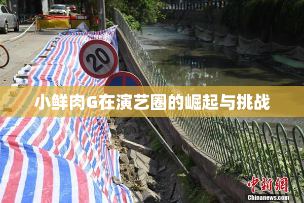 小鲜肉G在演艺圈的崛起与挑战