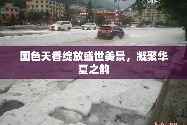 国色天香绽放盛世美景，凝聚华夏之韵