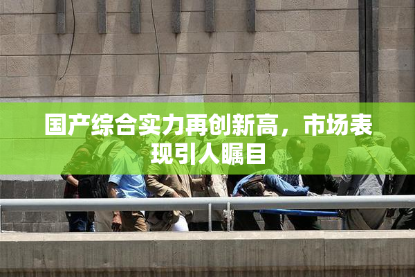 国产综合实力再创新高，市场表现引人瞩目