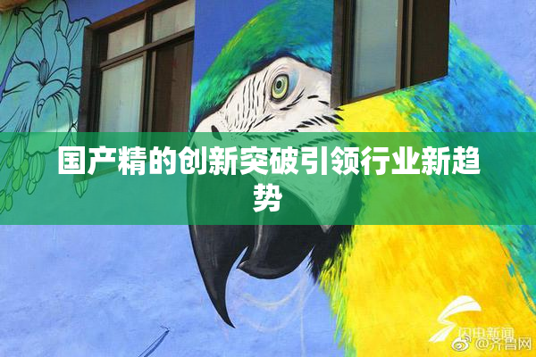 国产精的创新突破引领行业新趋势