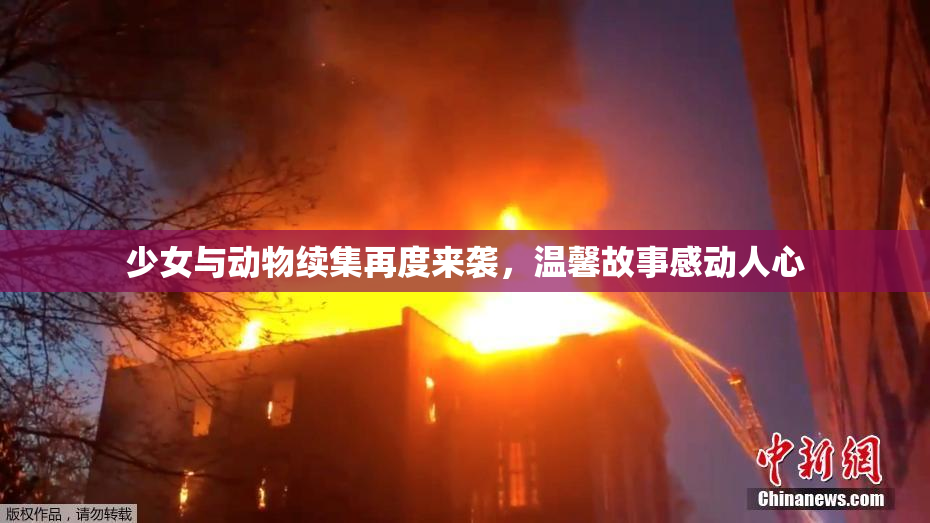 少女与动物续集再度来袭，温馨故事感动人心