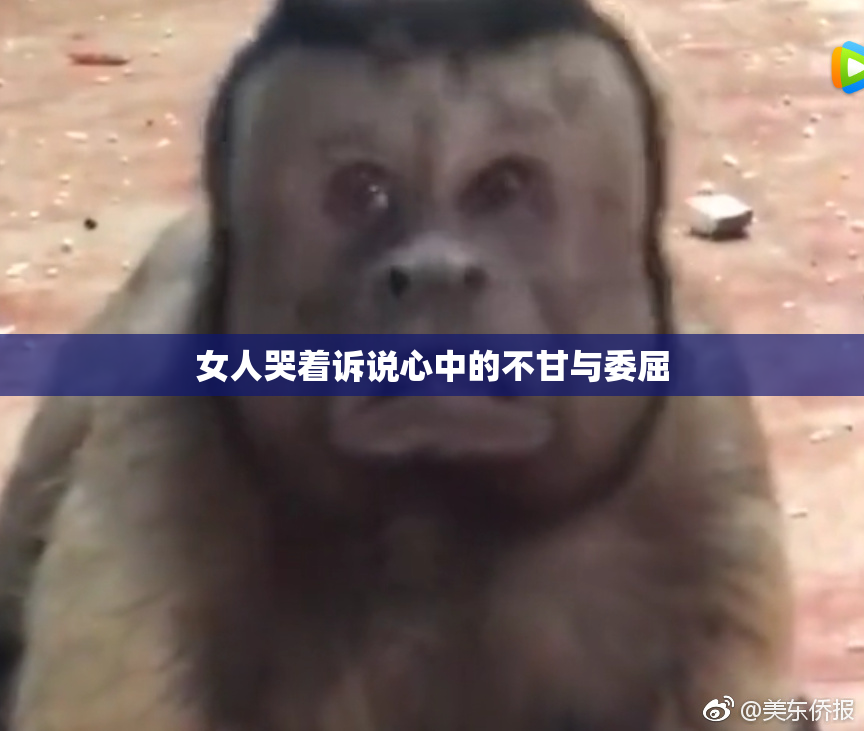 女人哭着诉说心中的不甘与委屈