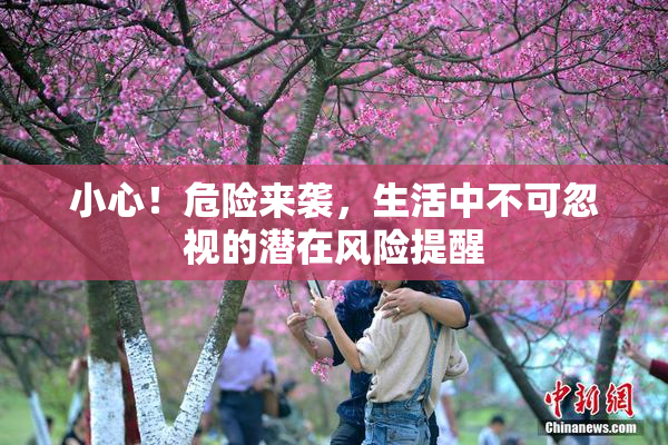 小心！危险来袭，生活中不可忽视的潜在风险提醒