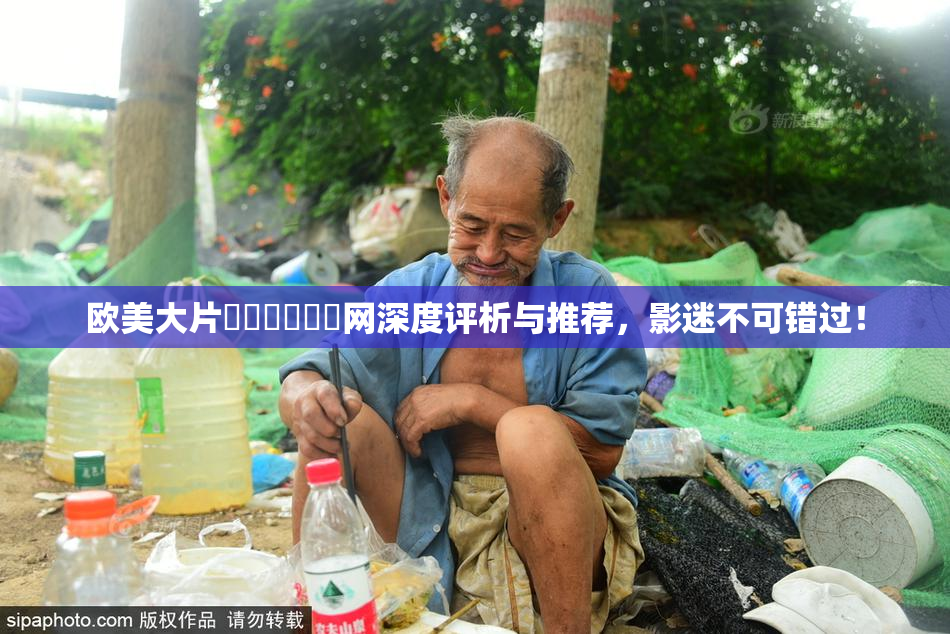欧美大片❌‌❌‌❌‌网深度评析与推荐，影迷不可错过！