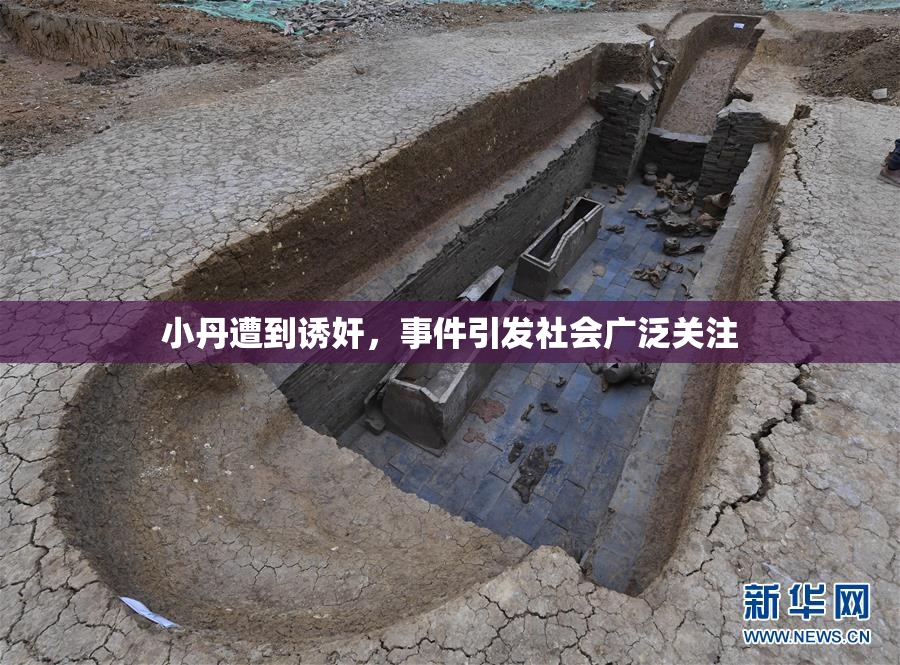 小丹遭到诱奸，事件引发社会广泛关注