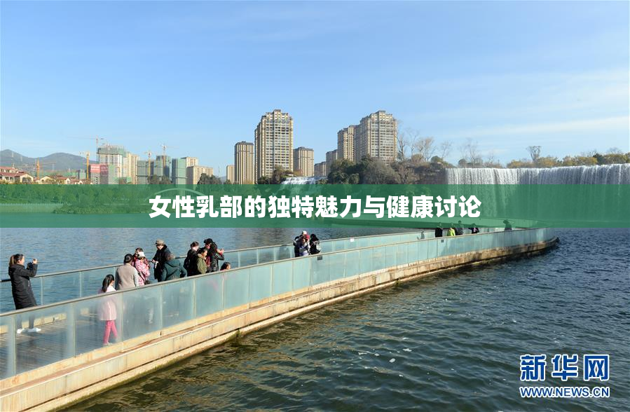 女性乳部的独特魅力与健康讨论
