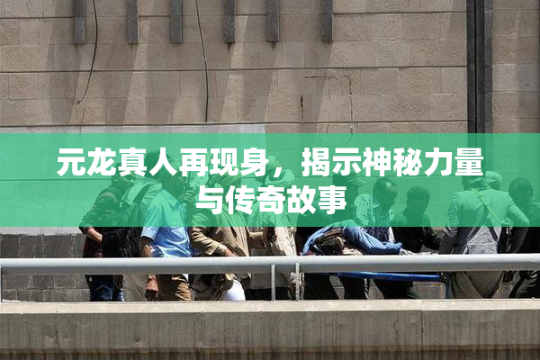 元龙真人再现身，揭示神秘力量与传奇故事