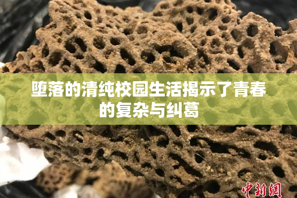 堕落的清纯校园生活揭示了青春的复杂与纠葛
