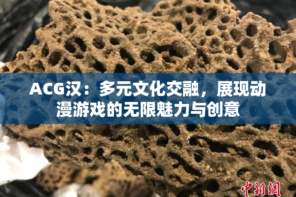 ACG汉：多元文化交融，展现动漫游戏的无限魅力与创意