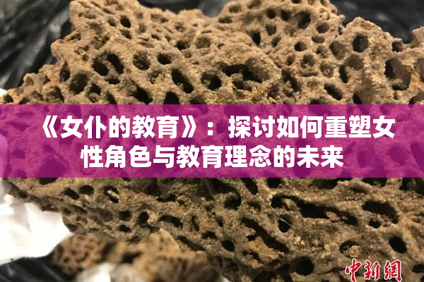 《女仆的教育》：探讨如何重塑女性角色与教育理念的未来