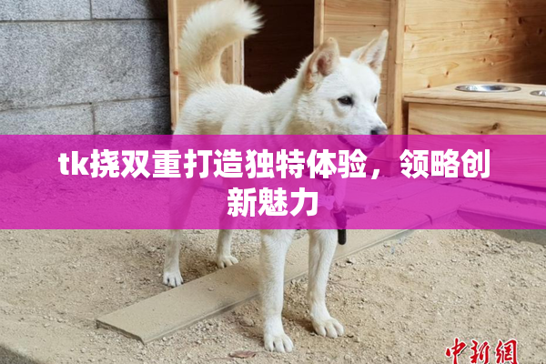 tk挠双重打造独特体验，领略创新魅力
