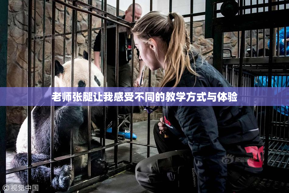 老师张腿让我感受不同的教学方式与体验