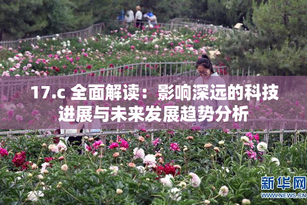17.c 全面解读：影响深远的科技进展与未来发展趋势分析