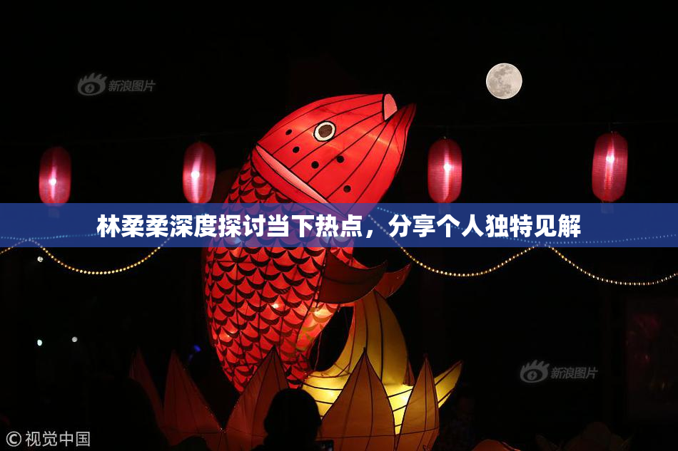 林柔柔深度探讨当下热点，分享个人独特见解