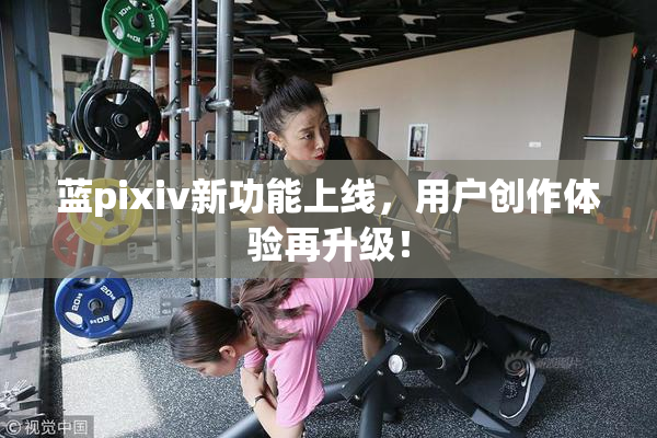 蓝pixiv新功能上线，用户创作体验再升级！