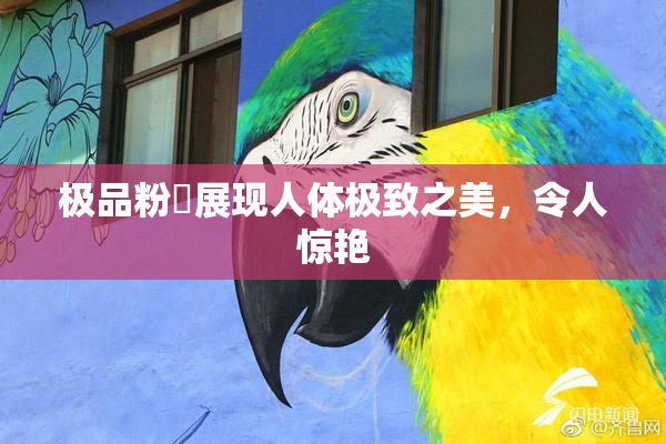极品粉鮑展现人体极致之美，令人惊艳