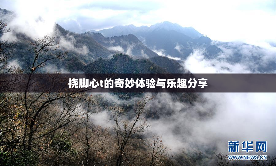 挠脚心t的奇妙体验与乐趣分享
