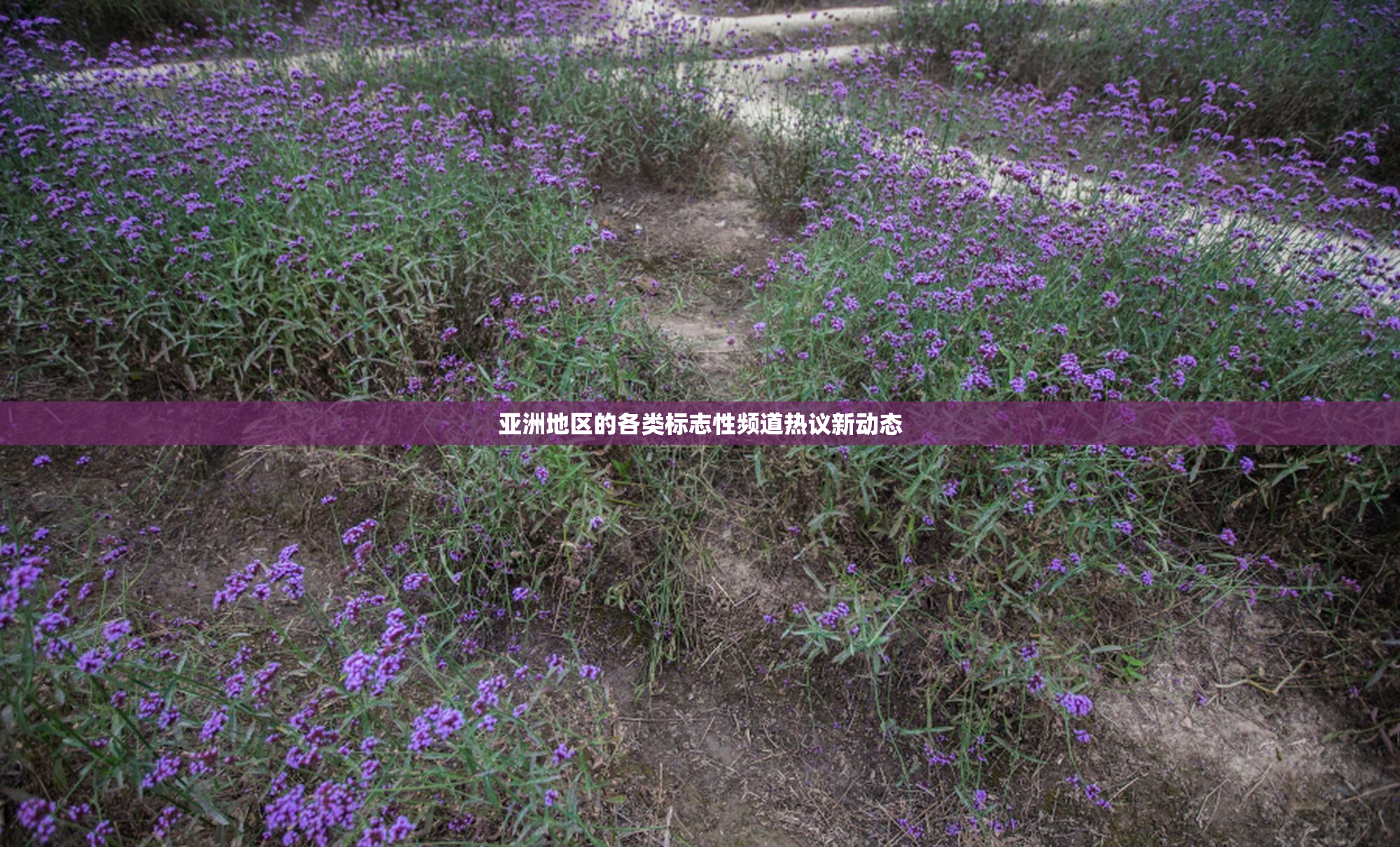 亚洲地区的各类标志性频道热议新动态