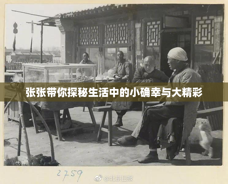 张张带你探秘生活中的小确幸与大精彩