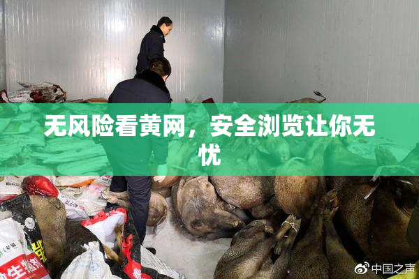 无风险看黄网，安全浏览让你无忧