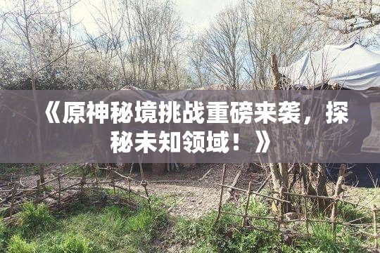 《原神秘境挑战重磅来袭，探秘未知领域！》