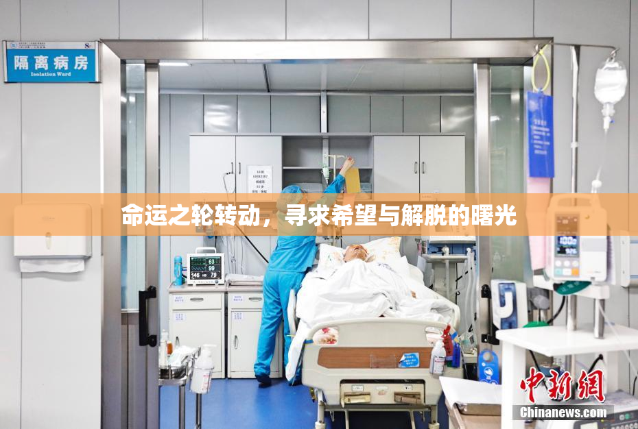 命运之轮转动，寻求希望与解脱的曙光