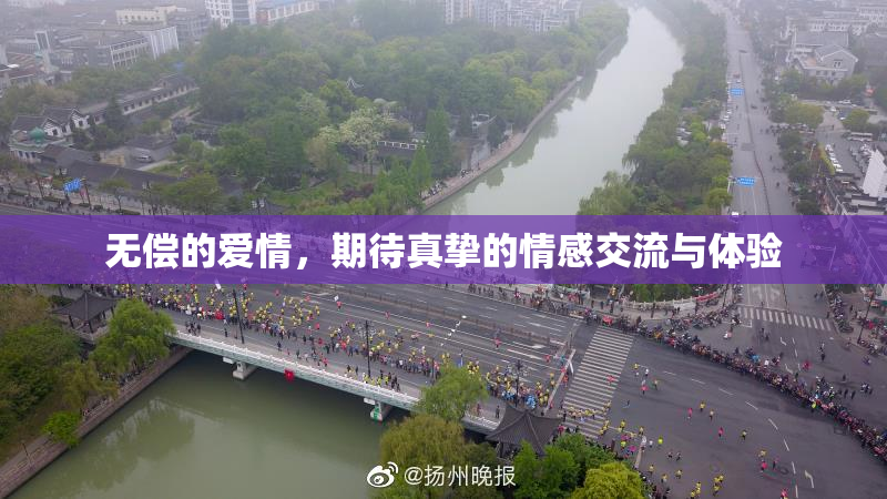 无偿的爱情，期待真挚的情感交流与体验