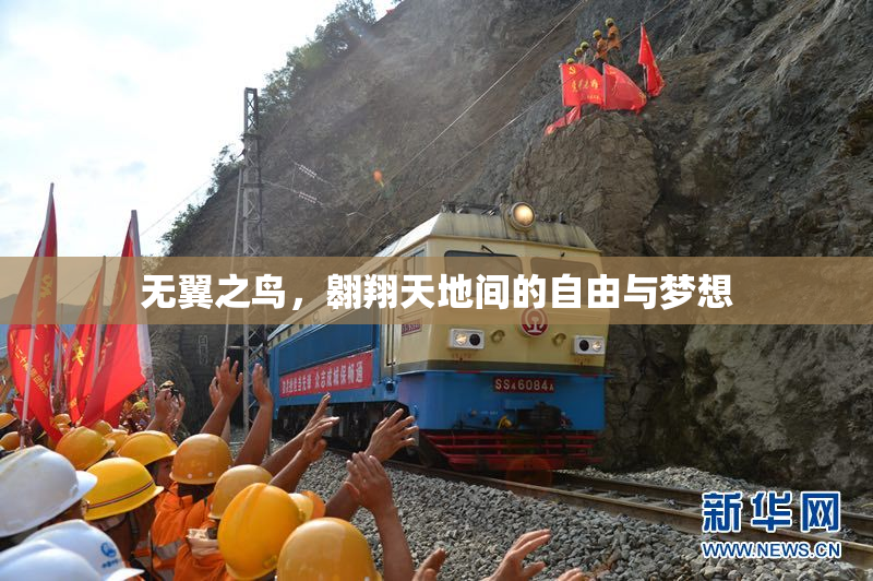 无翼之鸟，翱翔天地间的自由与梦想