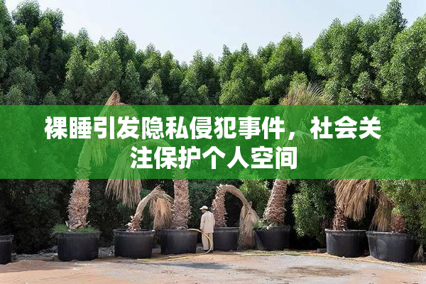 裸睡引发隐私侵犯事件，社会关注保护个人空间