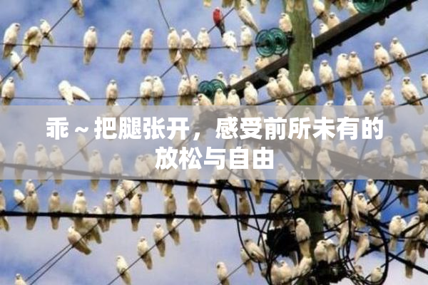 乖～把腿张开，感受前所未有的放松与自由