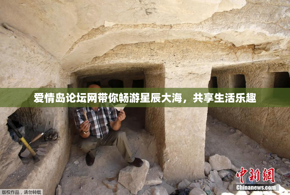爱情岛论坛网带你畅游星辰大海，共享生活乐趣
