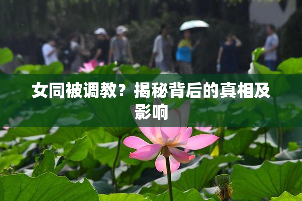女同被调教？揭秘背后的真相及影响