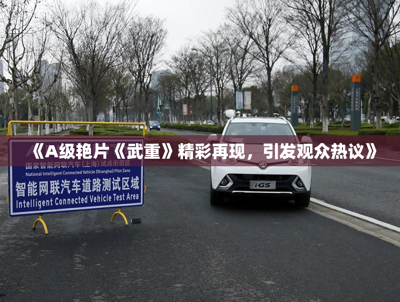 《A级艳片《武重》精彩再现，引发观众热议》