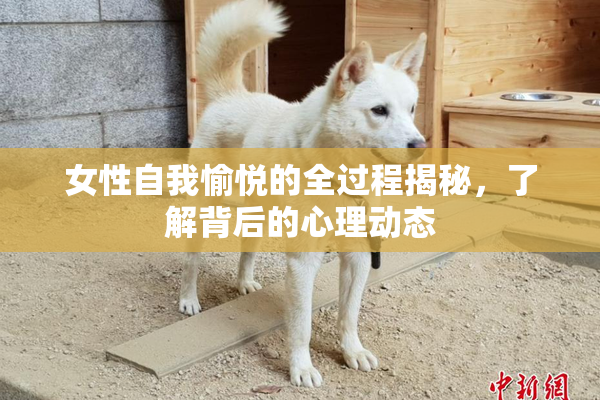 女性自我愉悦的全过程揭秘，了解背后的心理动态
