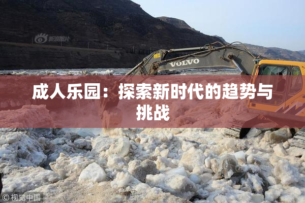 成人乐园：探索新时代的趋势与挑战