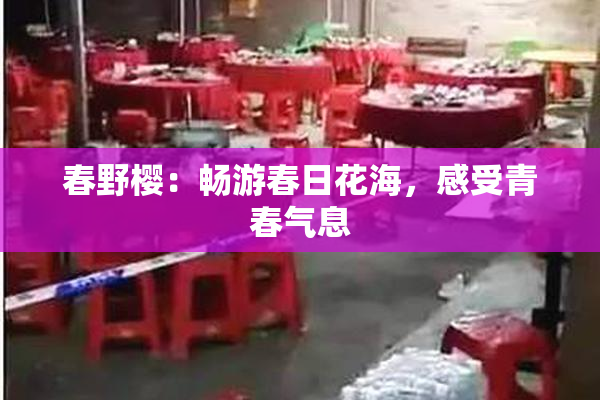 春野樱：畅游春日花海，感受青春气息