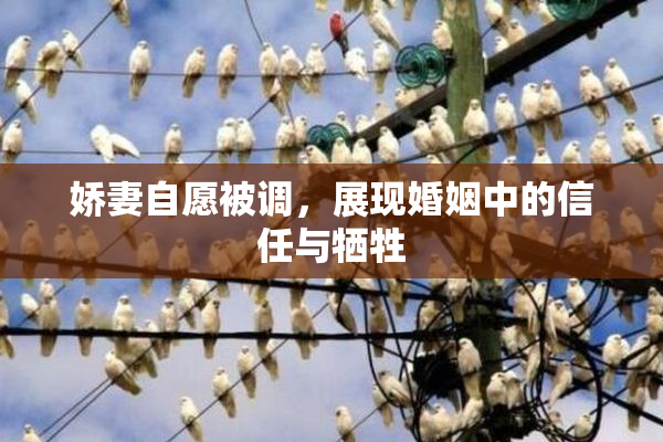娇妻自愿被调，展现婚姻中的信任与牺牲