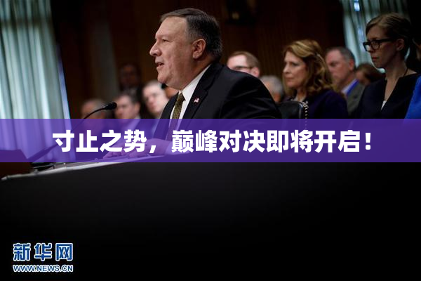 寸止之势，巅峰对决即将开启！