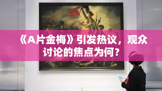 《A片金梅》引发热议，观众讨论的焦点为何？