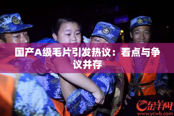 国产A级毛片引发热议：看点与争议并存