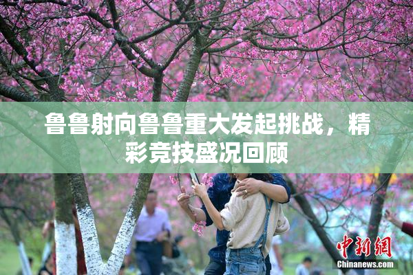 鲁鲁射向鲁鲁重大发起挑战，精彩竞技盛况回顾