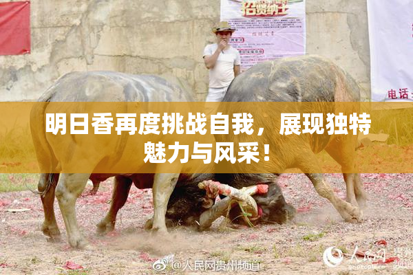 明日香再度挑战自我，展现独特魅力与风采！