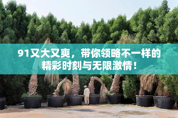 91又大又爽，带你领略不一样的精彩时刻与无限激情！