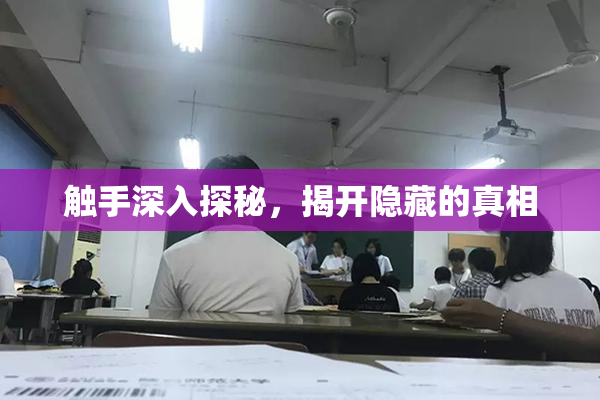 触手深入探秘，揭开隐藏的真相
