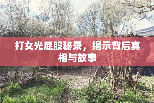 打女光屁股秘录，揭示背后真相与故事